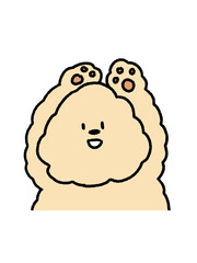 Fluffy bear