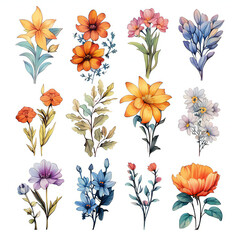 Flower bundle watercolor 