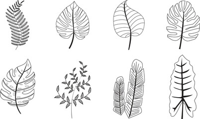 collection of leaves