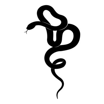 silhouette of a snake