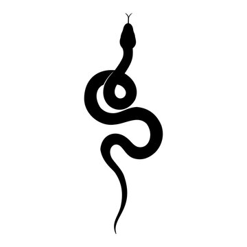snake vector illustration