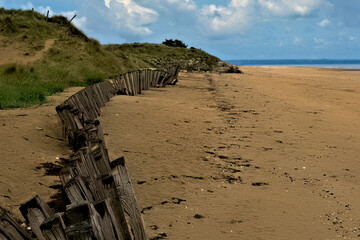Normandy World War Two landing beaches. Utah Beach in Normandy region of France showing weathered wood fence, dunes with beach grass.