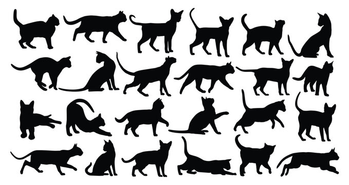 The set of silhouettes domestic cats.
