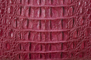 Genuine leather texture backgroundr close-up, embossed under the skin a reptile, red color print. Natural backdrop, copy space. Concept of shopping, manufacturing