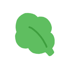 Vegetable leaf isolated on white