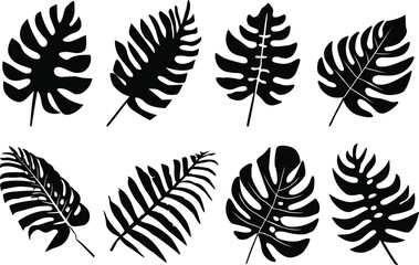 Set of black tropical leaves. Tropical leaf silhouettes set. Vector illustration