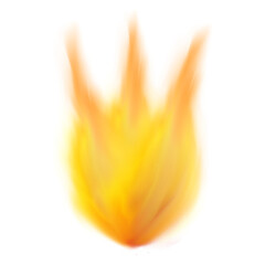 炎のオレンジ色のチューリップ(透過、PNG)