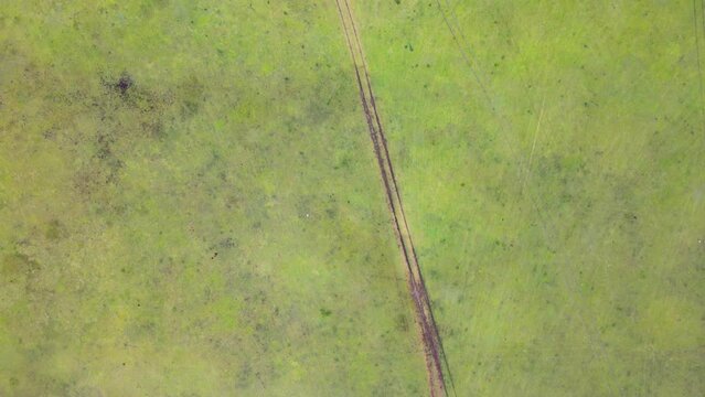 Aerial view Of a freshly grass meadow car tracks going through the field. 