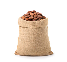Dried cocoa beans in burlap sack isolated on white background.