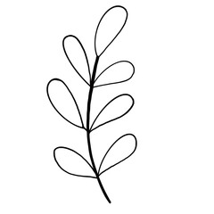 set of autumn leaves, Cute striped flower plants, for props, plants, flowers, ornamental grasses and decorations. Flower of roadside. 