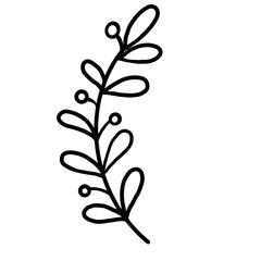 set of autumn leaves, Cute striped flower plants, for props, plants, flowers, ornamental grasses and decorations. Flower of roadside. 