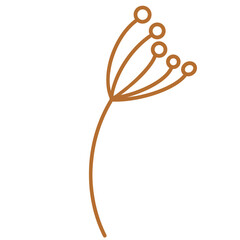 set of autumn leaves, Cute striped flower plants, for props, plants, flowers, ornamental grasses and decorations. Flower of roadside. 