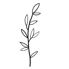 set of autumn leaves, Cute striped flower plants, for props, plants, flowers, ornamental grasses and decorations. Flower of roadside. 