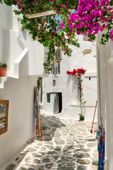 Narrow alleyways of Greek towns, white walls, bougainvillea and craft