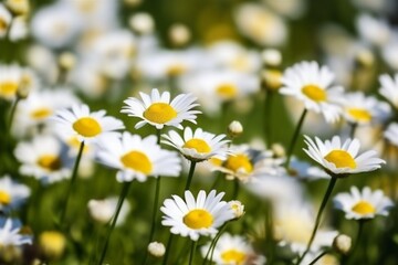 background fresh copy nature floral leaf space green blossom flowers spring beautiful. Generative AI.