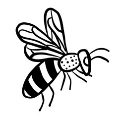 Bee illustration black and white