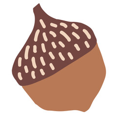 acorn cute hand drawn kids illustration