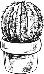 Hand drawn vector sketch of a cactus  in a pot. Isolated element for design. Vintage illustration. Element for the design of labels, packaging and postcards. Monochrome drawing.