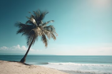 Coconut palm tree on the beach with sea and sky - obrazy, fototapety, plakaty