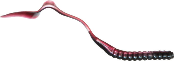 Plastic fishing worm with black and purple color