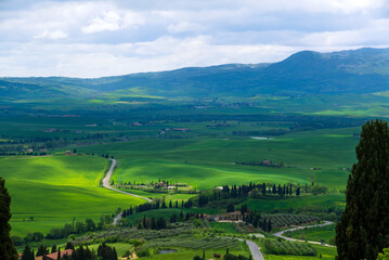 The wavy hills of the landscape in Val d'Orcia from Pienza