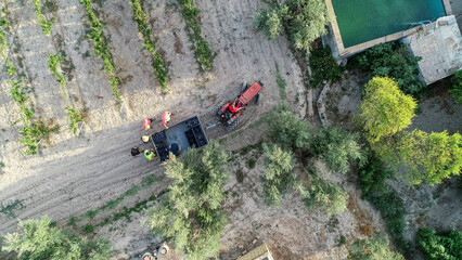 Aerial view of a tractor collecting boxes of grapes at the grape harvest.