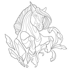 epic horse rides on camera coloring book