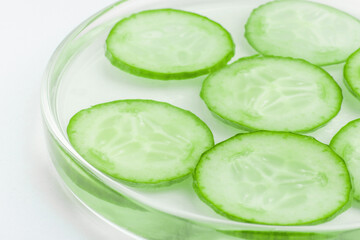Thinly sliced slices of fresh green cucumber in a Petri dish.