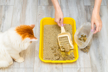 a woman cleans the cat litter with a shovel, transferring waste to a bag.