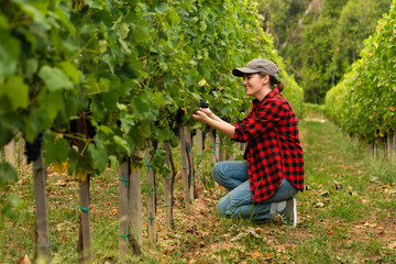 A woman farmer examines the vineyard