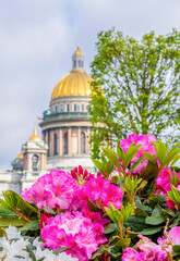 Beautiful flowers on the background of St. Isaac's Cathedral (blurred focus), St. Petersburg, Russia