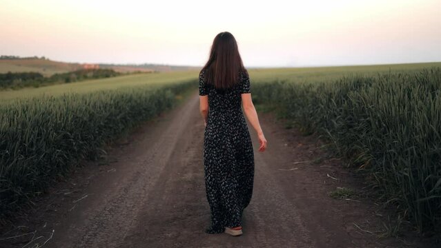 Countryside, rear view of a young woman in a long dress walking on a country road through a green wheat field. Summer vacation in nature. Farming concept