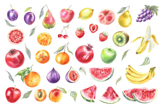 Watercolor Fruits Set, Farm Healthy Food: apple lemon pomegranate banana peach watermelon strawberry tangerine сitrus vegan