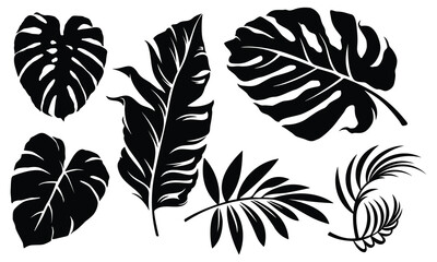 Set of palm leaves silhouettes isolated on white background. Vector EPS10 - Vector