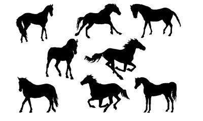Horse Vector Graphic Design illustration File Instant
