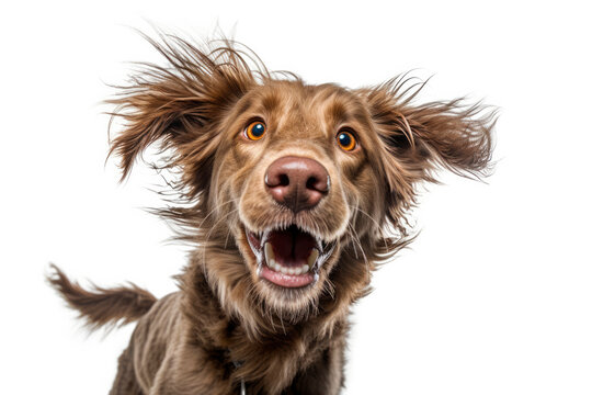 Portrait of happy dog. Generative AI