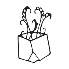 flowers in the pot. doodle art. on a white background. vector drawing. indoor flowers of different types. black and white color of the drawing. petals and flowers. shaped flower pots.