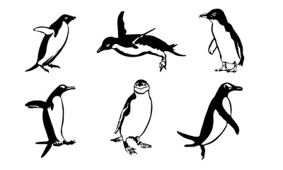 Penguins SVG Graphic