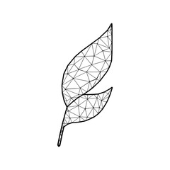 Leaves or branch vector illustration in polygonal style, isolated on white background