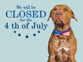 Signboard with the inscription We will be closed for the 4th of July. Cute brown puppy. Closeup,...