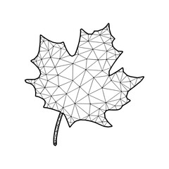 Maple Leaf vector illustration in polygonal style, isolated on white background