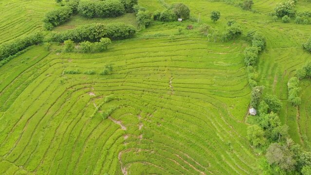 Drone view around Sila Area Bima Indonesia