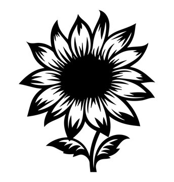 sunflower isolate on white background