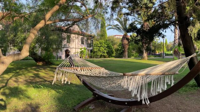 Wicker white hammock is tied between two trees in beautiful garden. Tropical palm trees grow everywhere. Hammock swings from side to side. Concept of idyll, relaxation and wonderful pastime