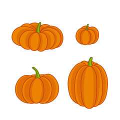Pumpkin. Set of four orange pumpkin. Set. Cartoon vector