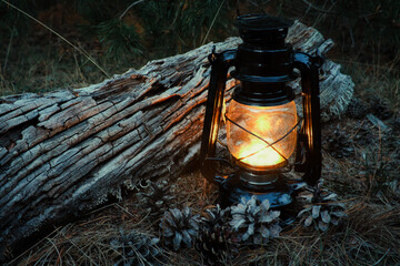 Lampe - Laterne - Wald - Old Kerosene Lamp - Forest - Vintage - Oil - Wood - Dark - Mood - Rustic -...
