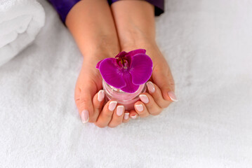 Beautiful women's hands holding the Archidea flower. Beautiful manicure. Beauty sphere