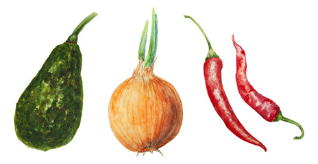 Set of avocado watercolor hand drawn realistic illustrations. Green and fresh arts of salad, sauce, guacamole, smoothie ingredient. For textile, menu, cards, paper, package design