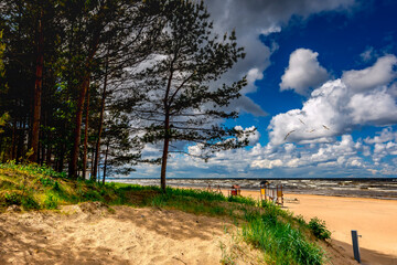 Coastal landscape with pine trees and cumulous clouds above the Baltic Sea in resting area in...