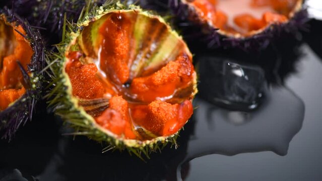 Sea Urchin with caviar close-up, on black background. Fresh open sea urchins with ice, ready to eat. Delicatessen food. Traditional Mediterranean food. Roe. Sea food closeup 